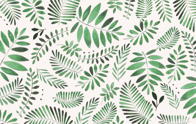 Collection Jungle
