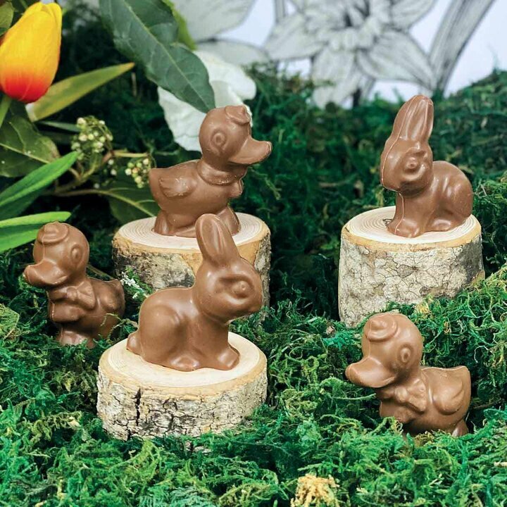 Lapin et Canard en chocolat de Pques