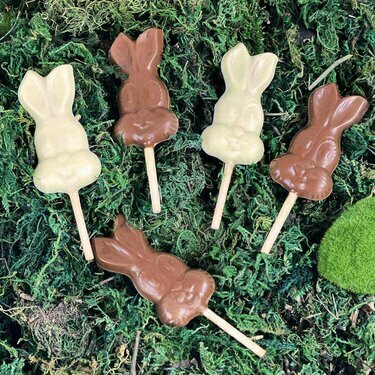 Lot de 5 sucettes Lucette