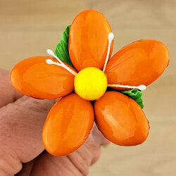 Fleurs de dragées petite marguerite orange