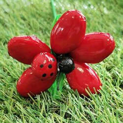 Fleurs de drages marguerite coccinelle rouge
