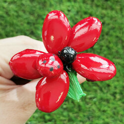 Zoom fleurs de drages marguerite coccinelle rouge