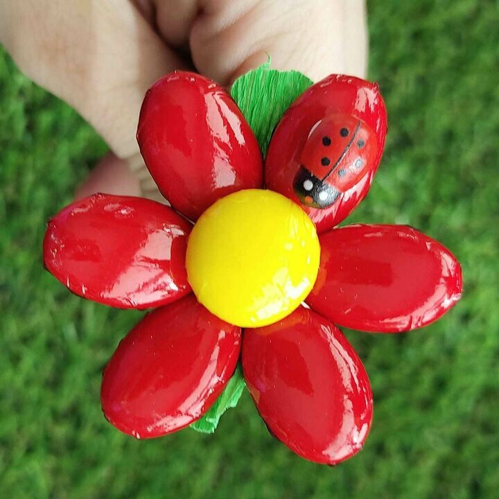 Zoom fleurs de drages tournesol rouge