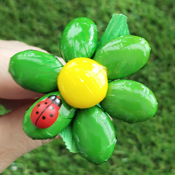 Zoom fleurs de drages tournesol vert