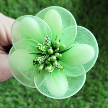 Fleurs de dragées anémone