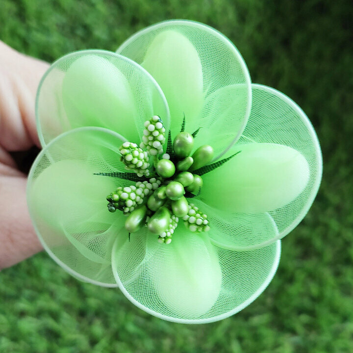 Zoom fleurs de dragées anémone verte