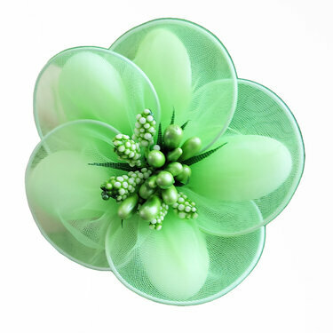 Fleurs de dragées anémone