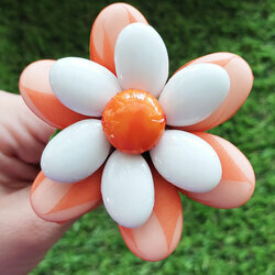 Fleurs de drages belle marguerite orange