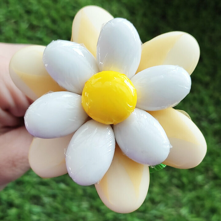 Fleurs de drages belle marguerite jaune