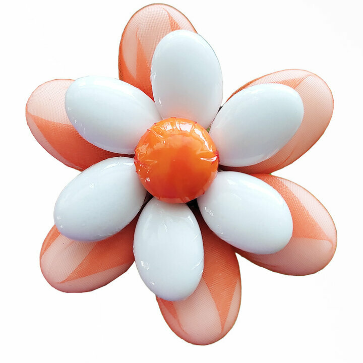 Fleurs de drages belle marguerite