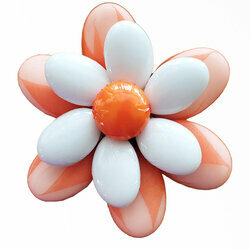 Fleurs de drages belle marguerite