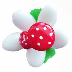 Fleurs de drages champignon