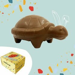 Moulage tortue en chocolat lait pour Pâques