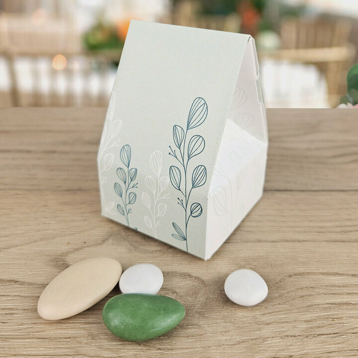 Bote  drages Lola ''Eucalyptus'' non personnalise