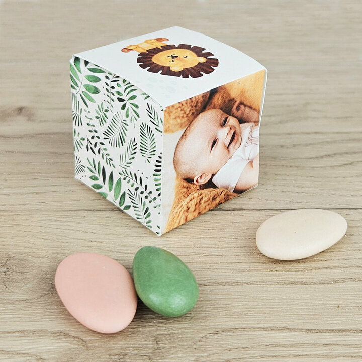 Boite  drages Cube Petit Modle ''Jungle'' personnalise Photo vue de dos