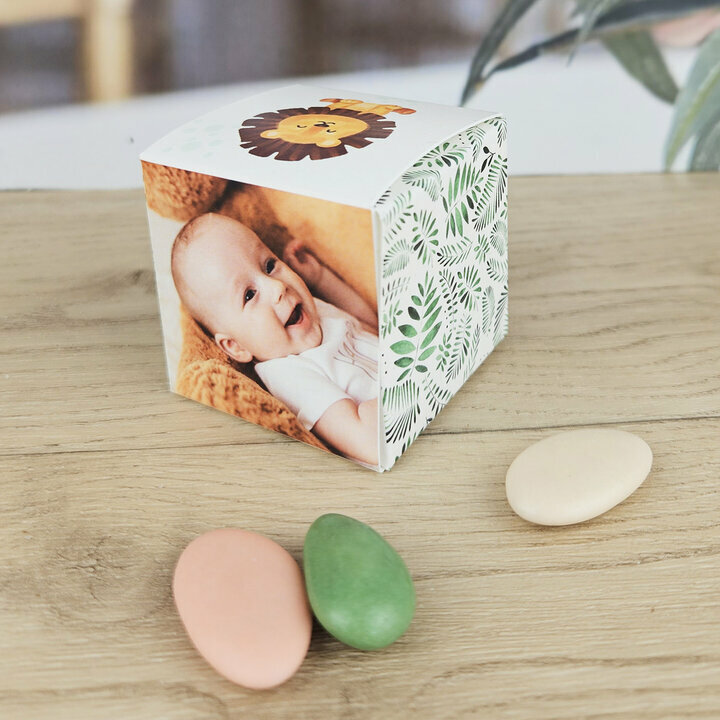 Boite  drages Cube Grand Modle ''Jungle'' personnalise Photo vue de dos