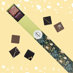 Coffret Chocoexpriences Pralins 11 chocolats