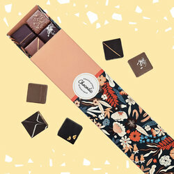 Coffret Chocoexpriences Pralins 22 chocolats