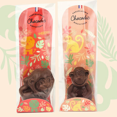 Lot Lion et Singe - Collection P&acirc;ques