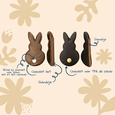 Coffret 6 Lapins Copains - Collection P&acirc;ques Entreprise