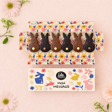 Coffret 6 Lapins Copains - Collection P&acirc;ques Entreprise