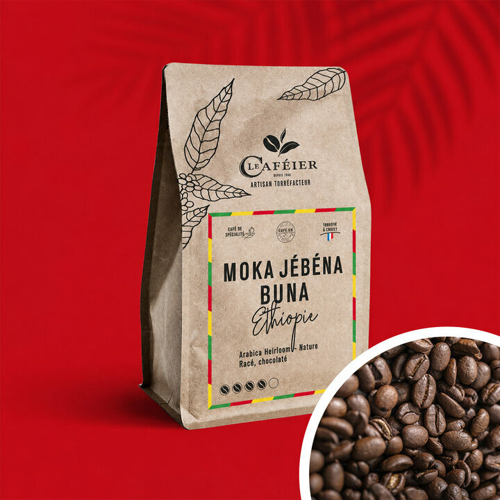 Caf� Moka J�b�na Buna d'Ethiopie - Le Caf�ier - En grain