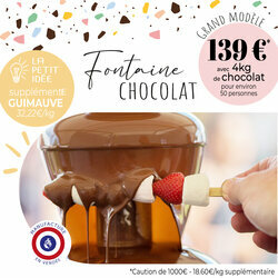Information Location Fontaine de Chocolat - Grand Mod�le